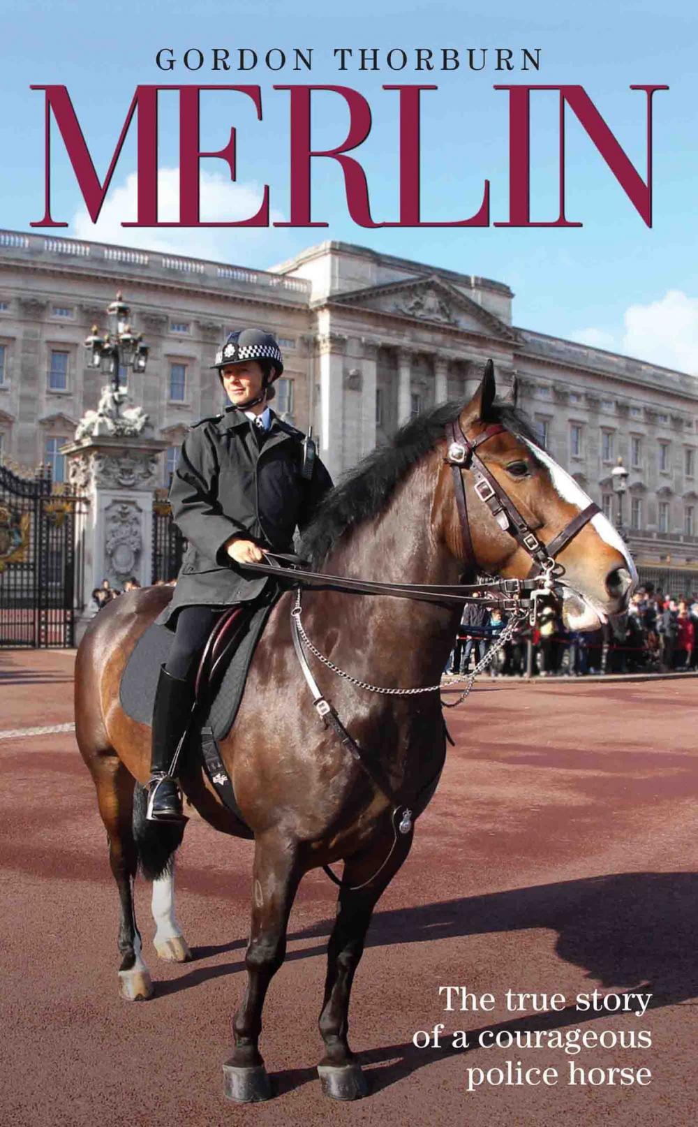 Big bigCover of Merlin - The True Story of a Courageous Police Horse