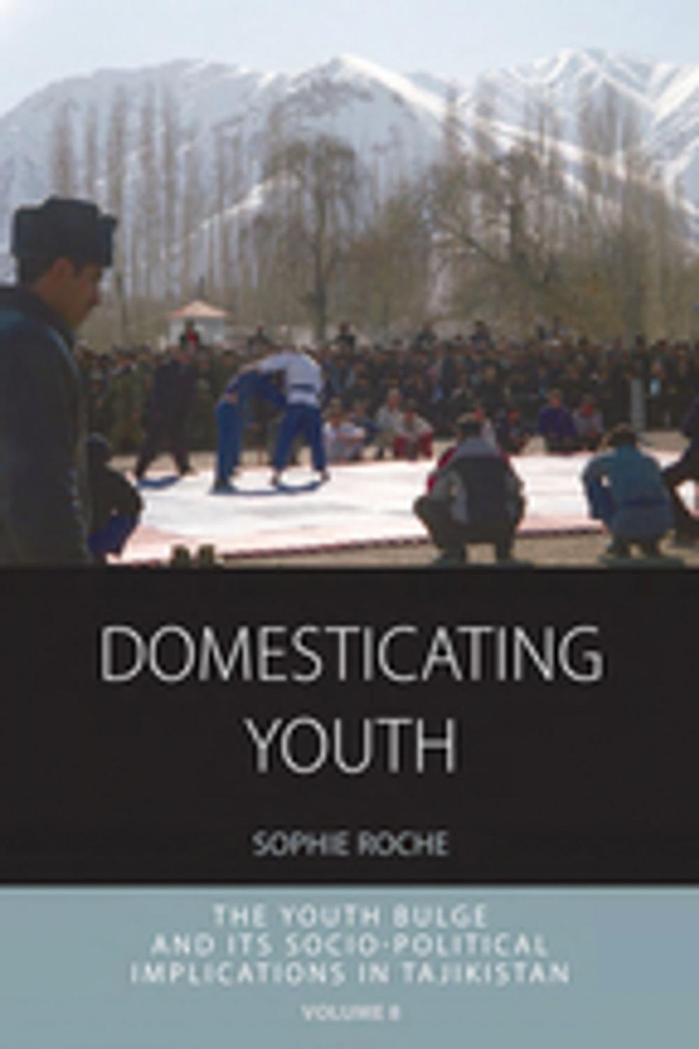 Big bigCover of Domesticating Youth