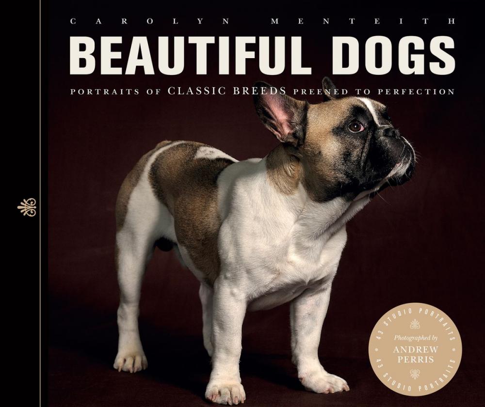 Big bigCover of Beautiful Dogs: Portraits of Classic Breeds Preened to Perfection