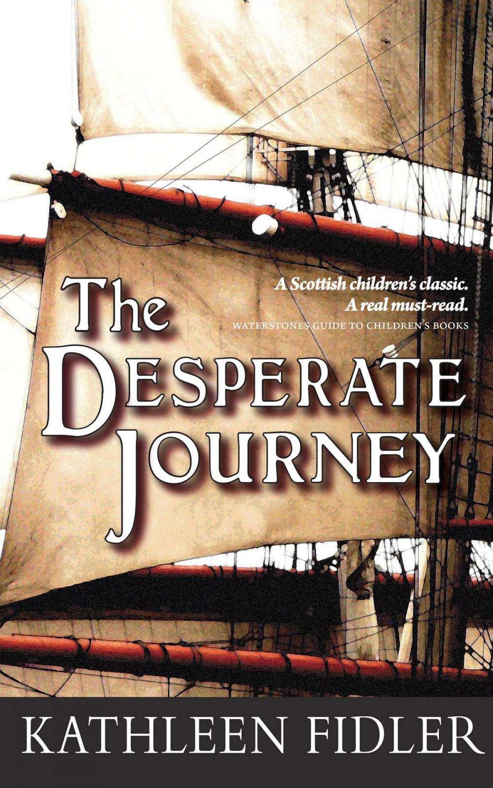 Big bigCover of The Desperate Journey