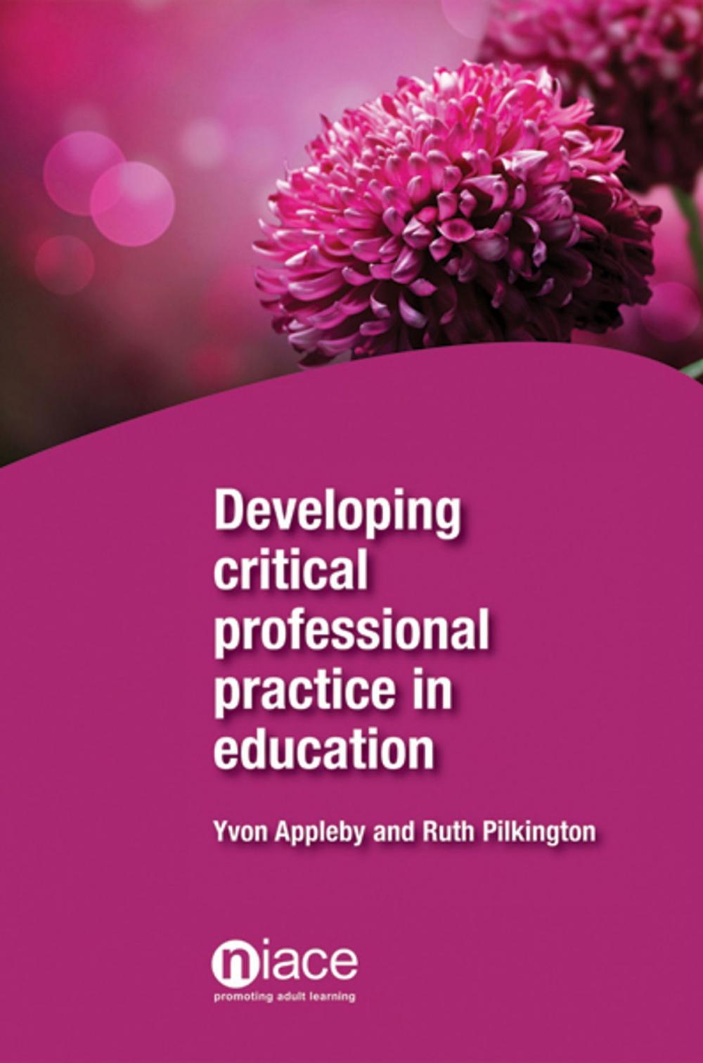 Big bigCover of Developing Critical Professional Practice in Education