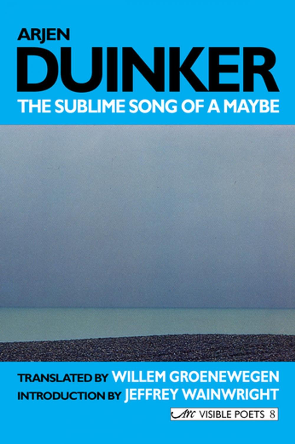 Big bigCover of The Sublime Song of a Maybe