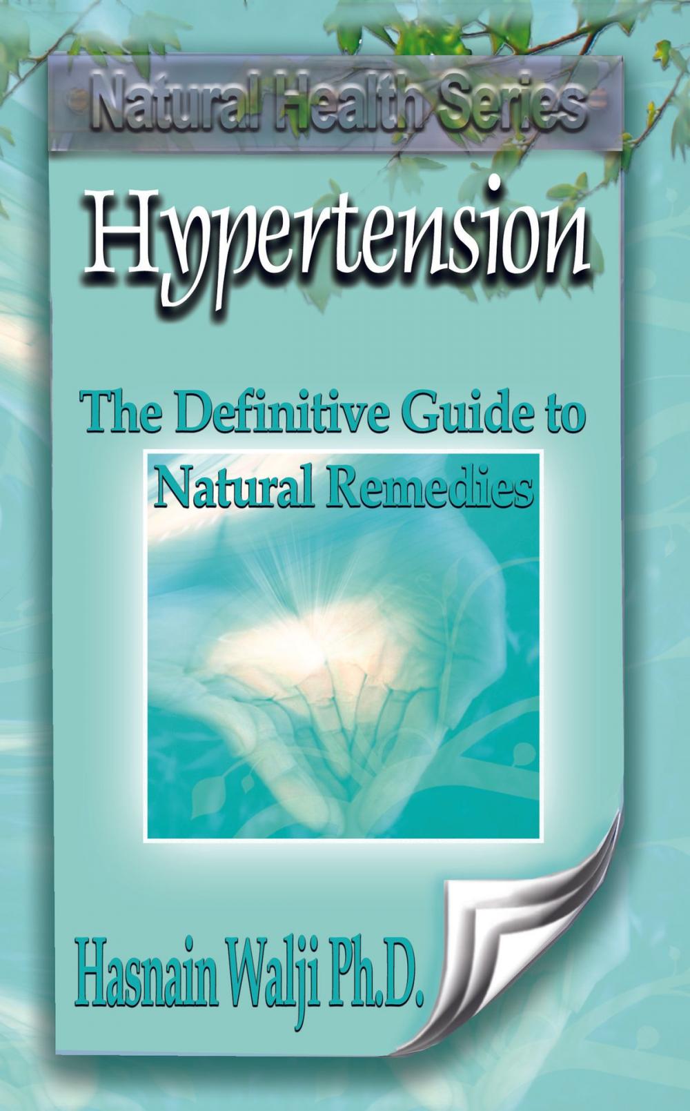 Big bigCover of Hypertension