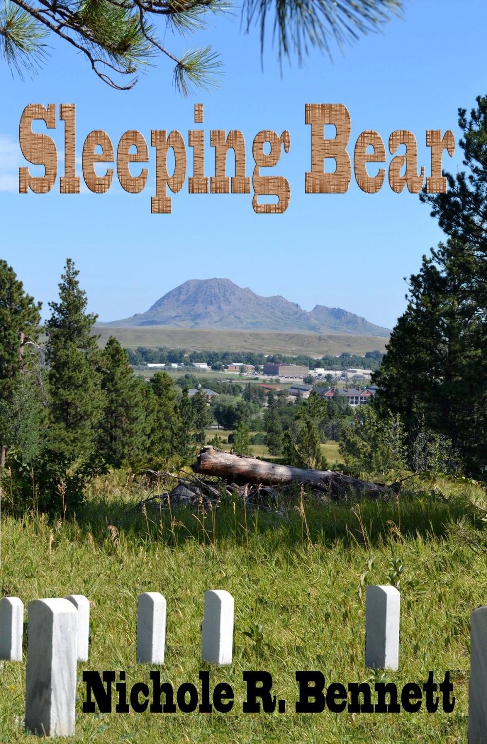 Big bigCover of Sleeping Bear