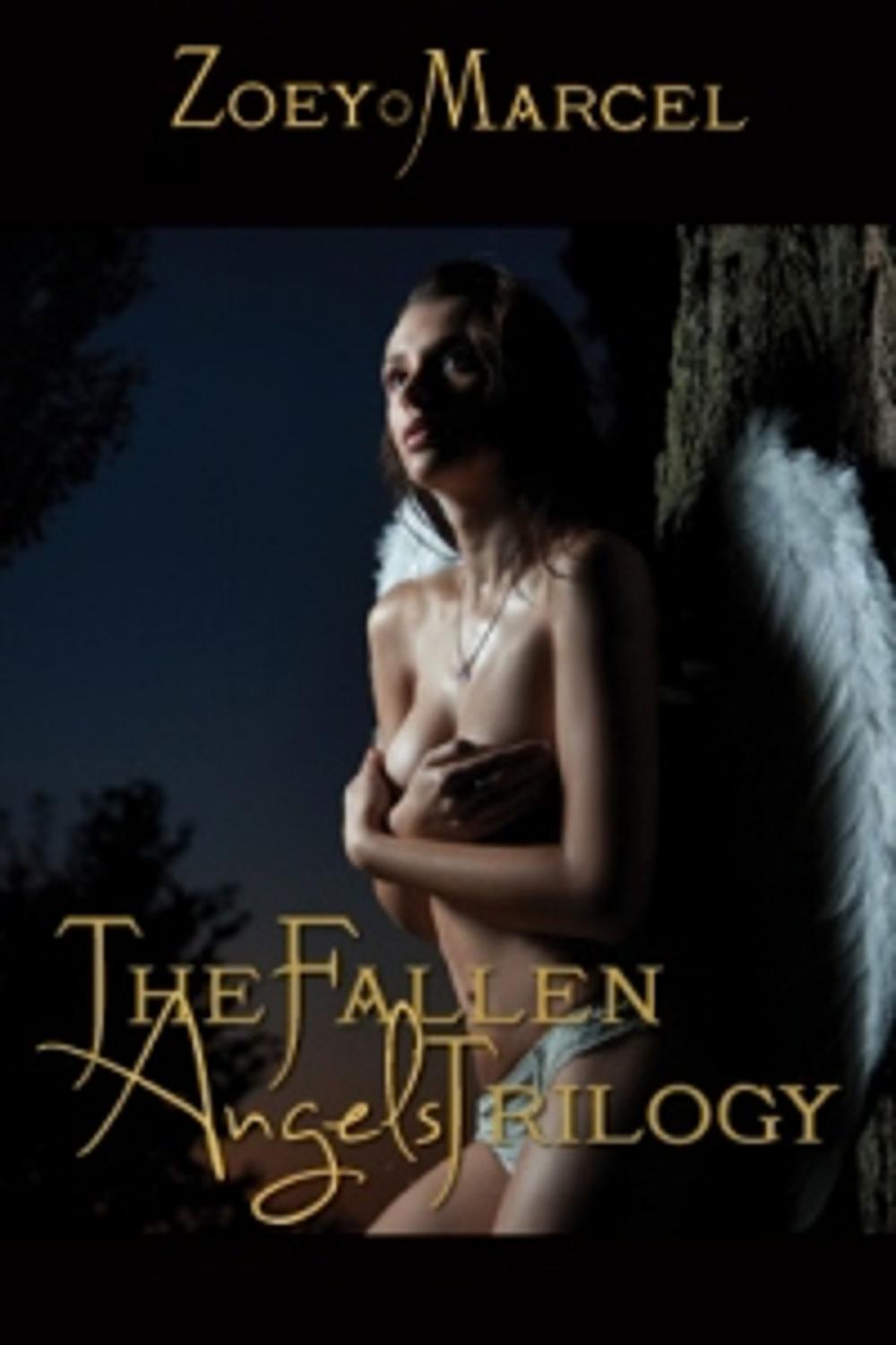 Big bigCover of The Fallen Angels Trilogy