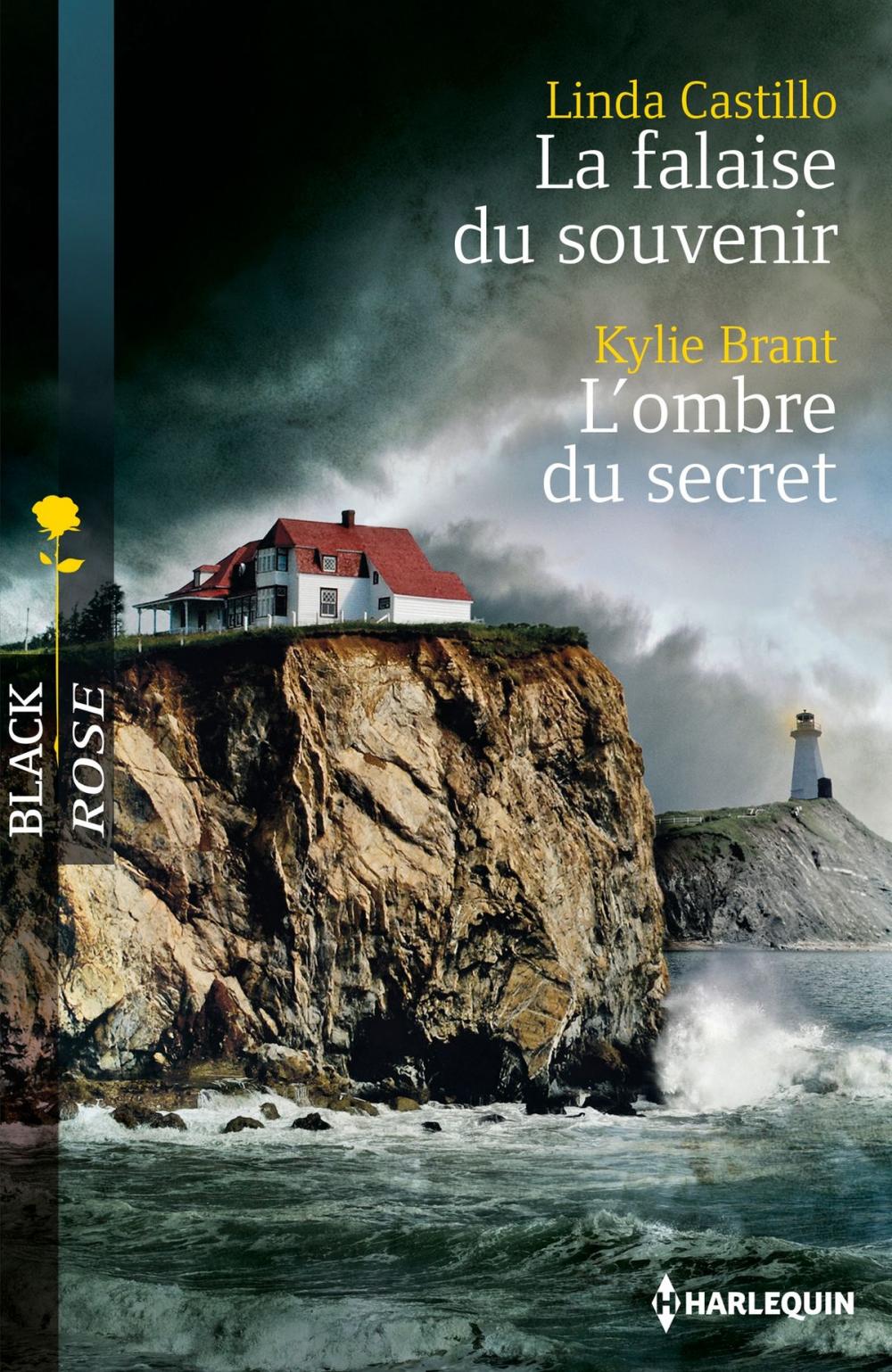 Big bigCover of La falaise du souvenir - L'ombre du secret