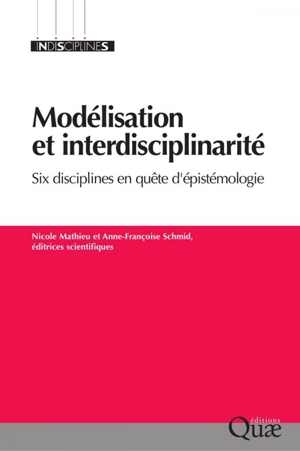 Big bigCover of Modélisation et interdisciplinarité