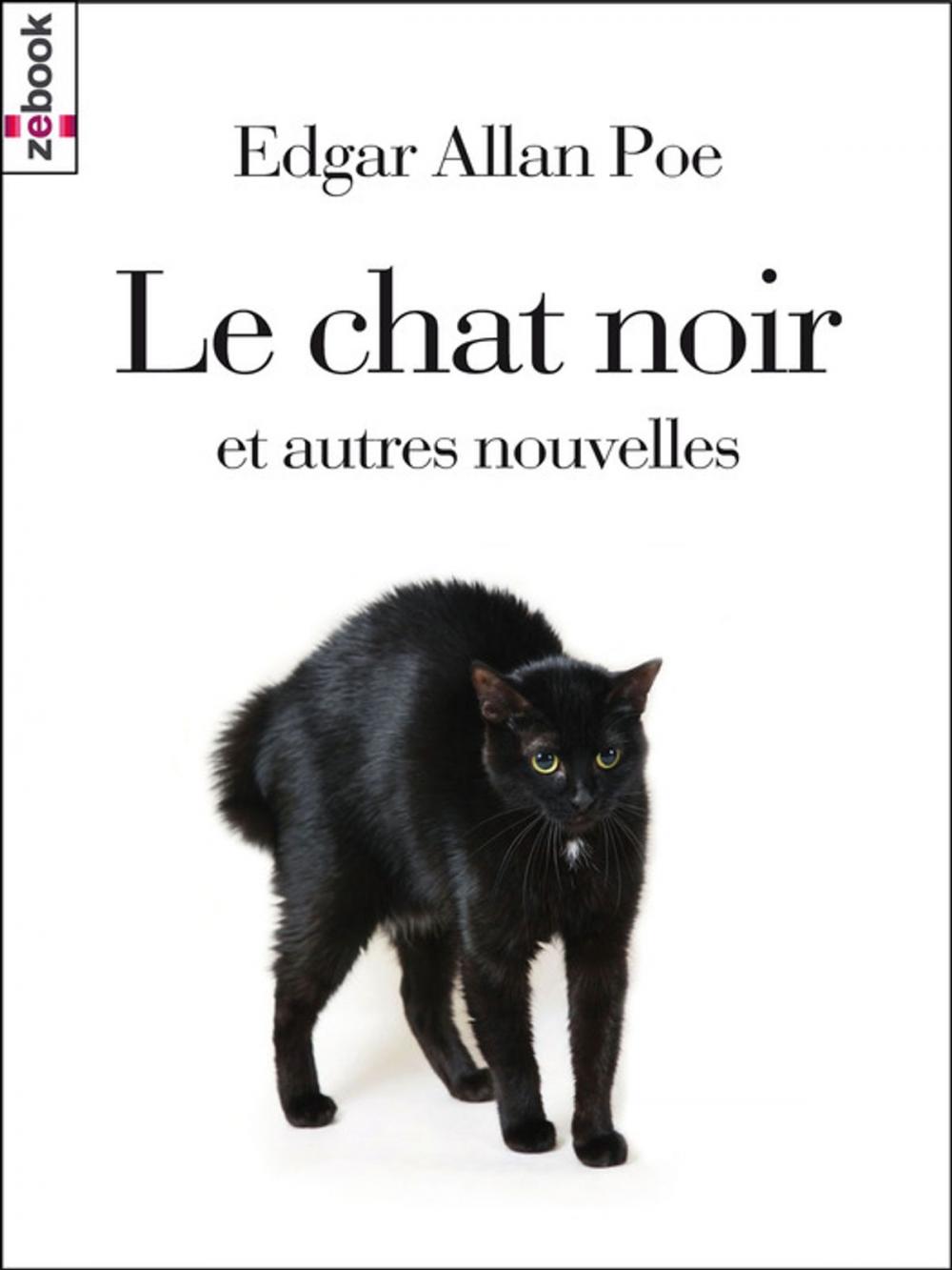 Big bigCover of Le chat noir