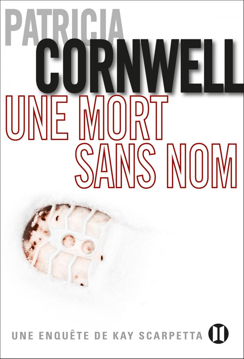 Big bigCover of Une mort sans nom