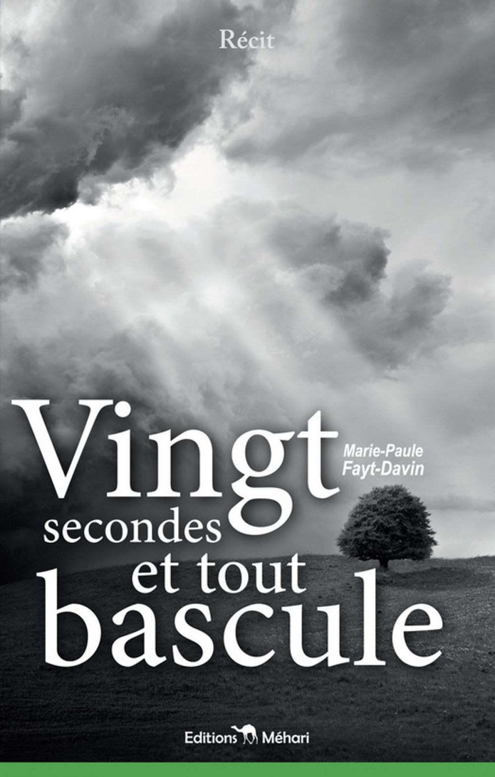 Big bigCover of Vingt secondes et tout bascule