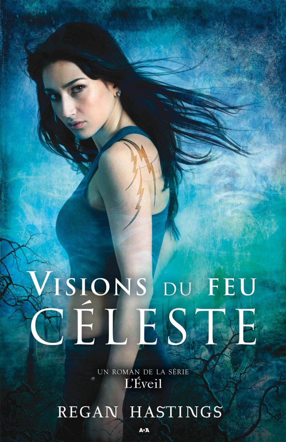 Big bigCover of Visions du feu céleste