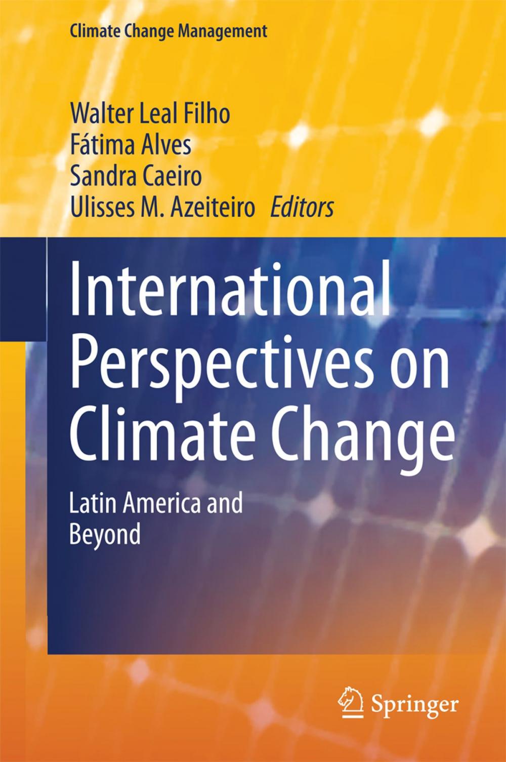 Big bigCover of International Perspectives on Climate Change
