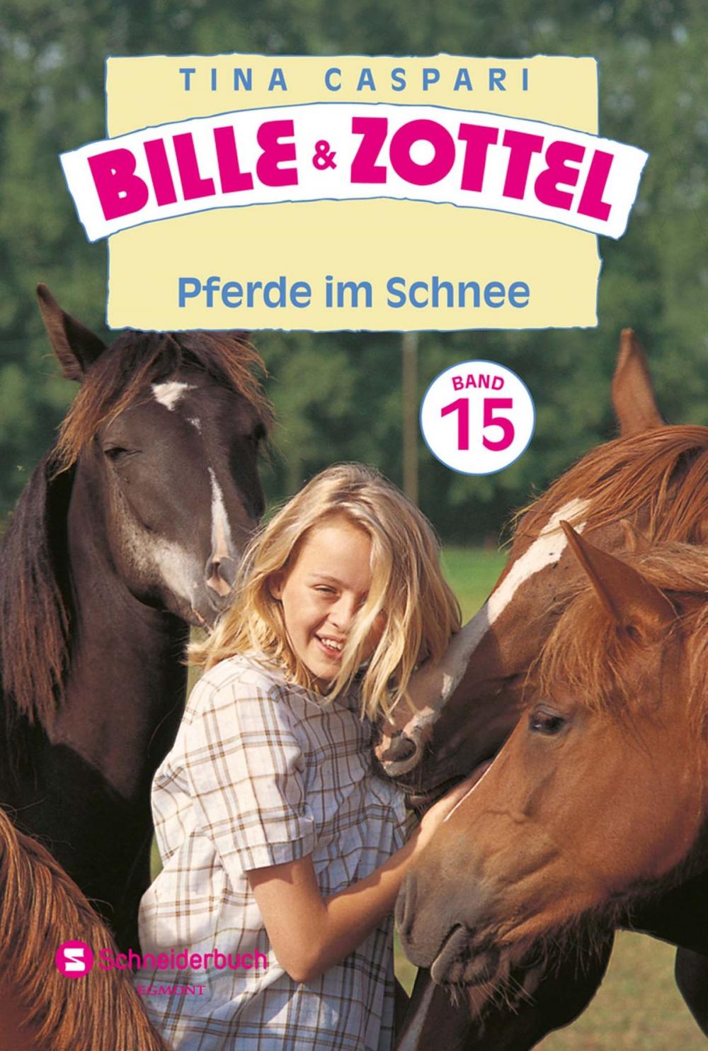 Big bigCover of Bille und Zottel Bd. 15 - Pferde im Schnee