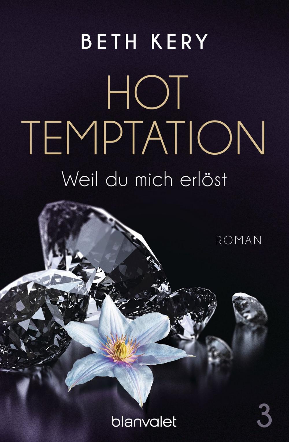 Big bigCover of Hot Temptation 3