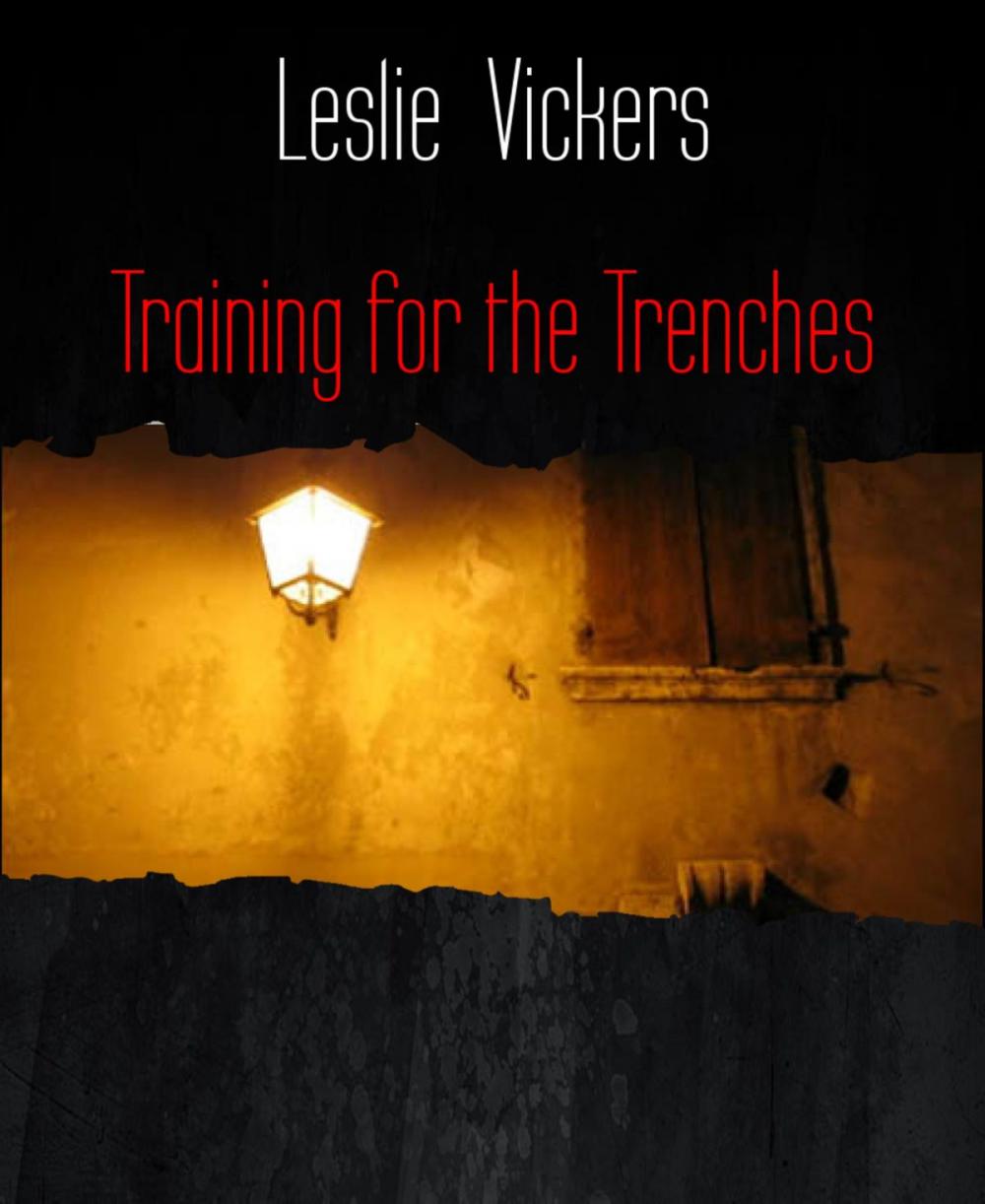Big bigCover of Training for the Trenches