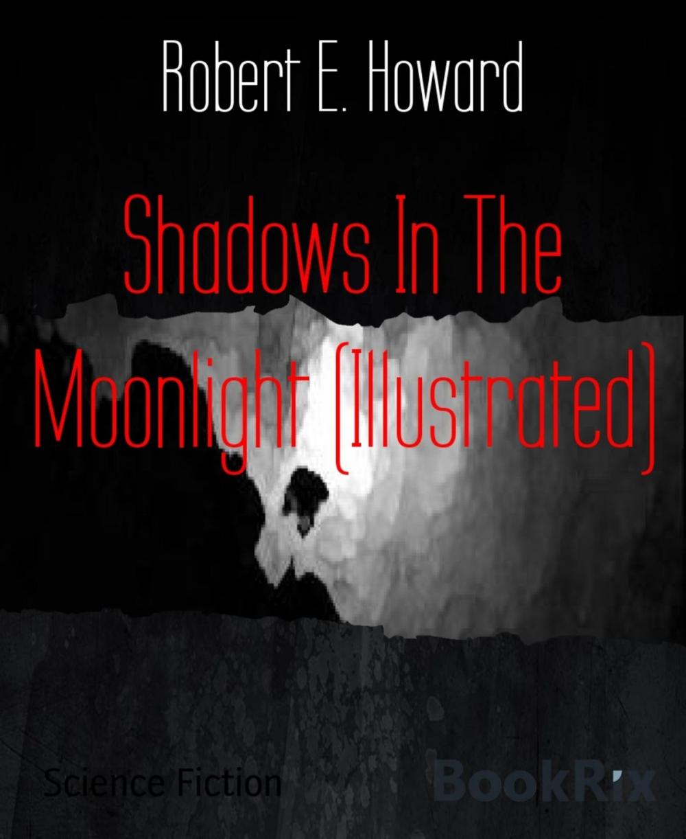 Big bigCover of Shadows In The Moonlight (Illustrated)