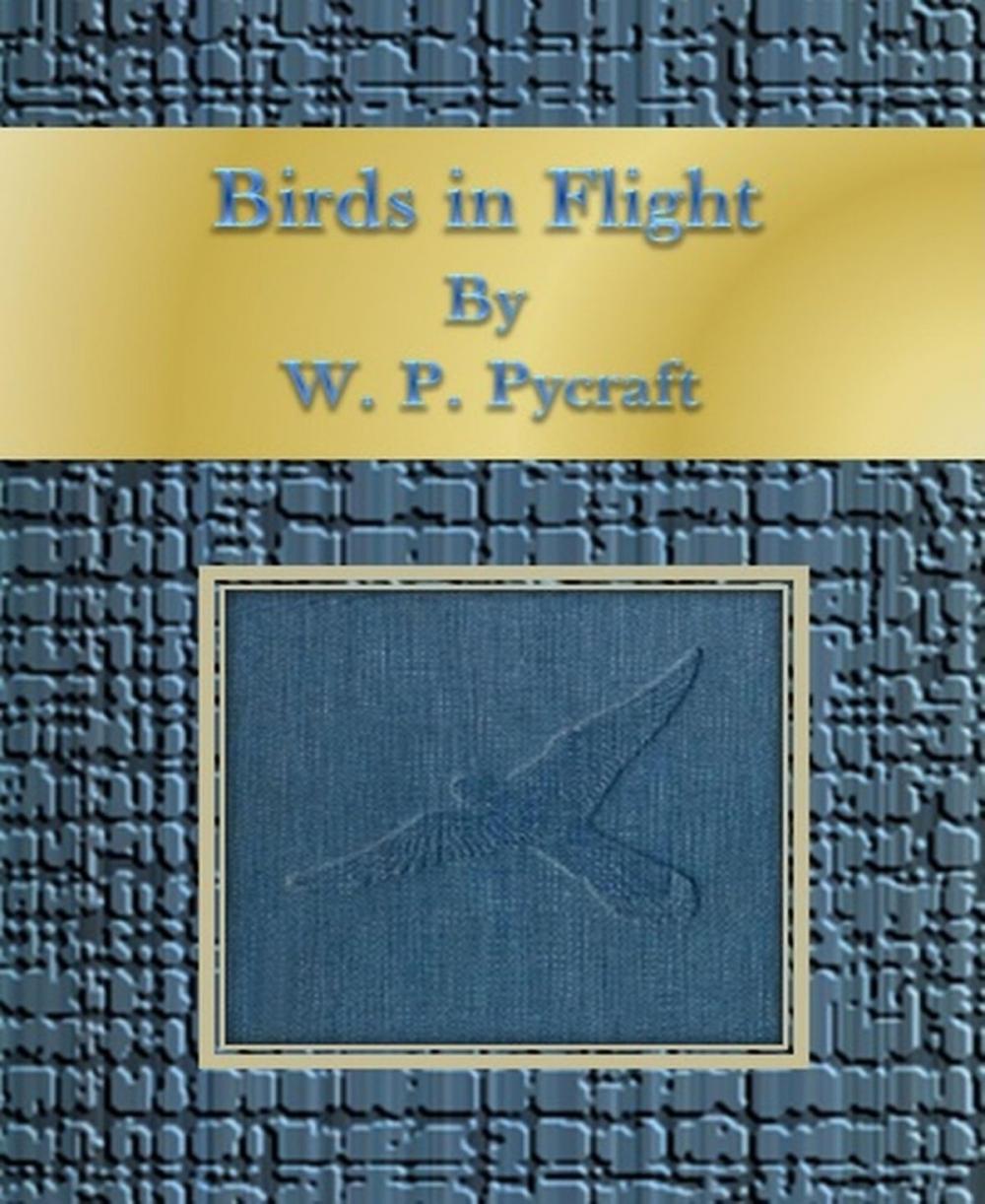 Big bigCover of Birds in Flight