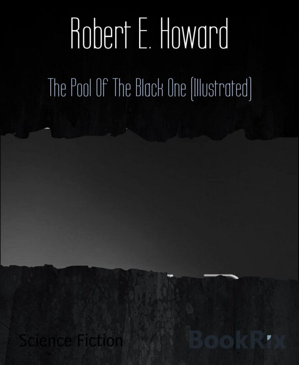 Big bigCover of The Pool Of The Black One (Illustrated)