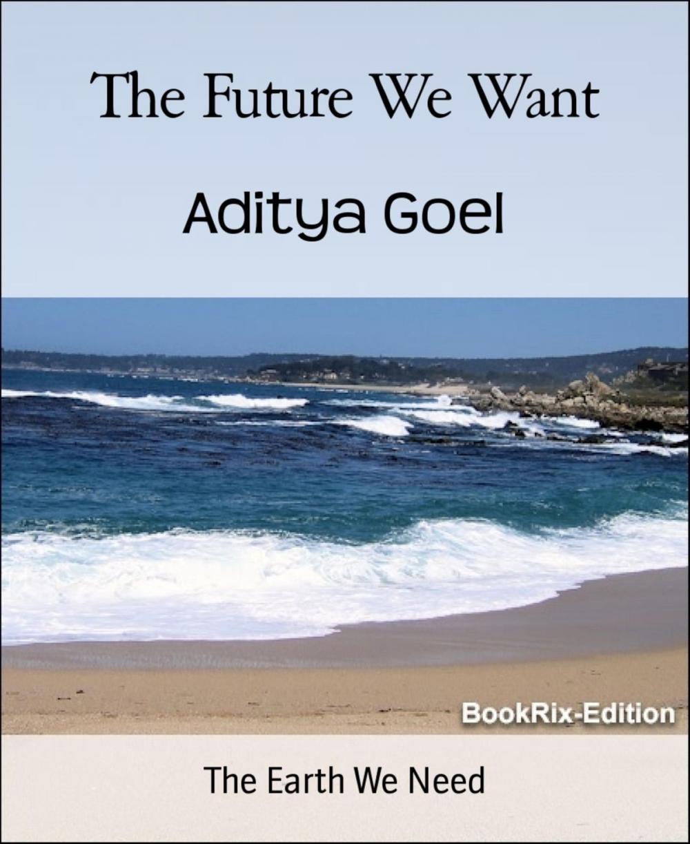 Big bigCover of The Future We Want