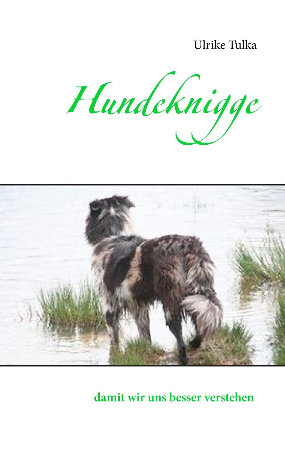 Big bigCover of Hundeknigge