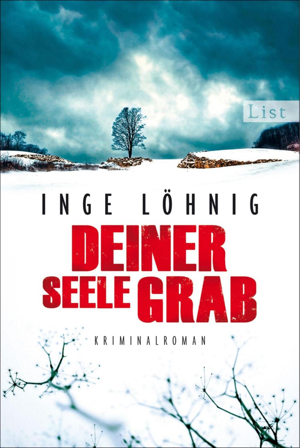 Big bigCover of Deiner Seele Grab