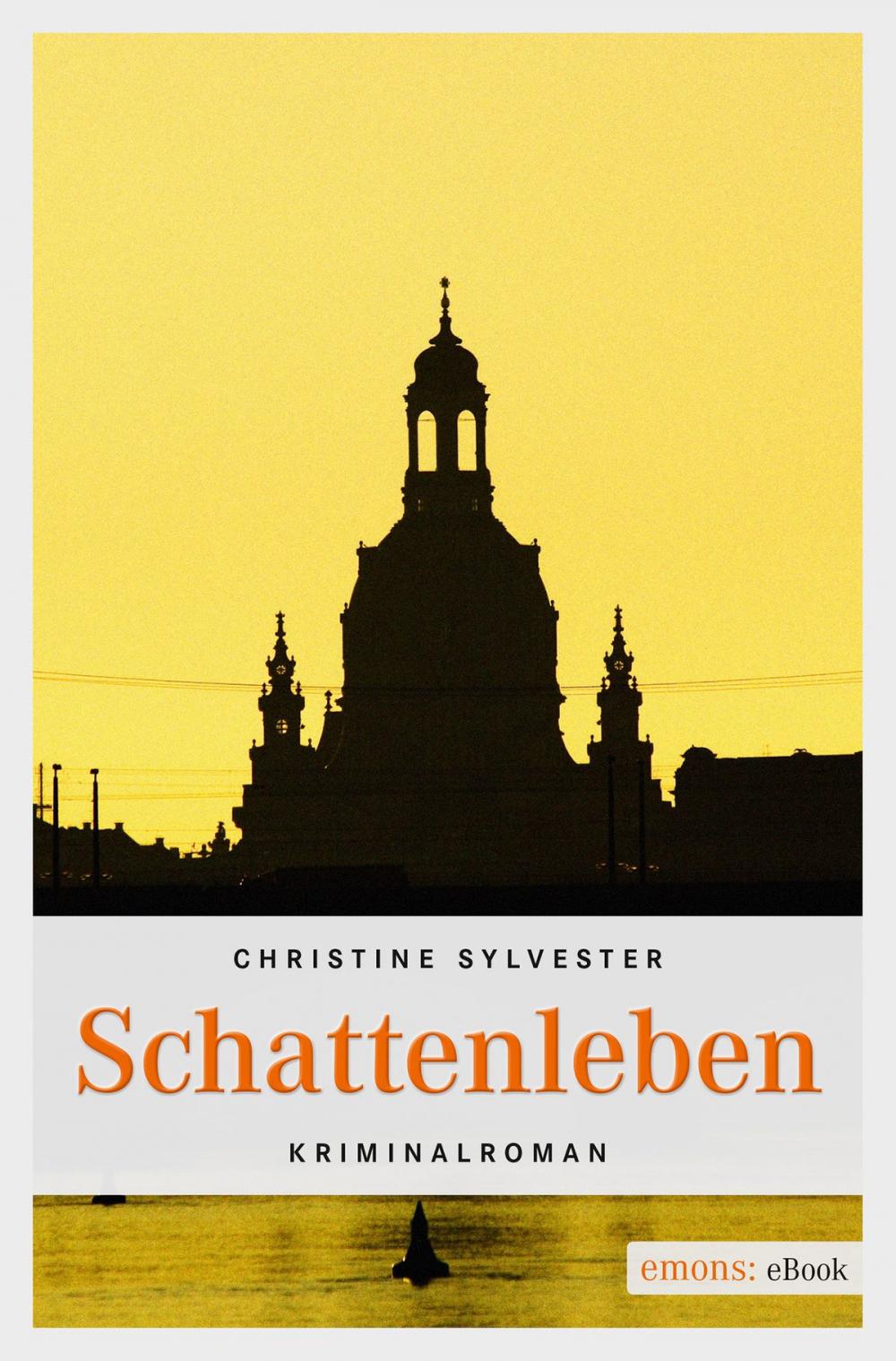 Big bigCover of Schattenleben