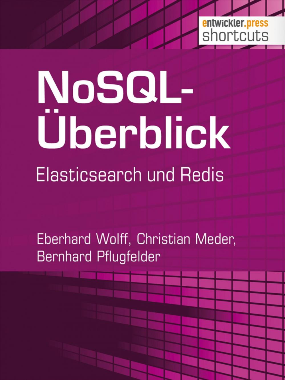 Big bigCover of NoSQL-Überblick - Elasticsearch und Redis