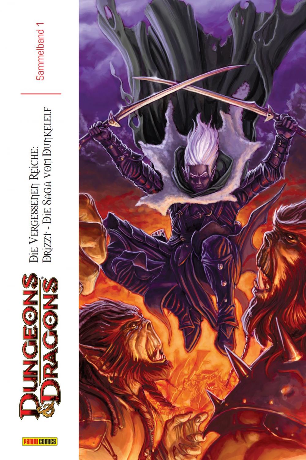 Big bigCover of Dungeons & Dragons Sammelband 1, Die Vergessenen Reiche