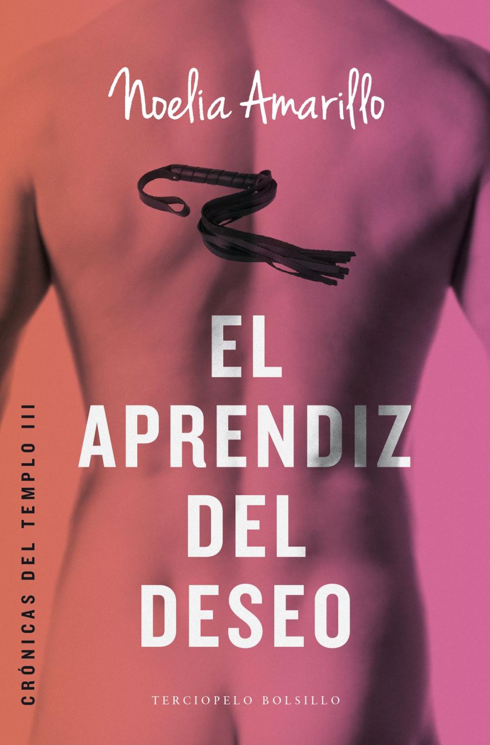 Big bigCover of El aprendiz del deseo