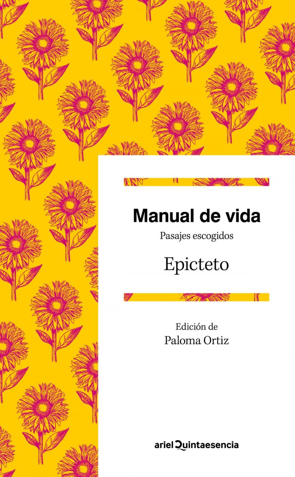 Big bigCover of Manual de vida