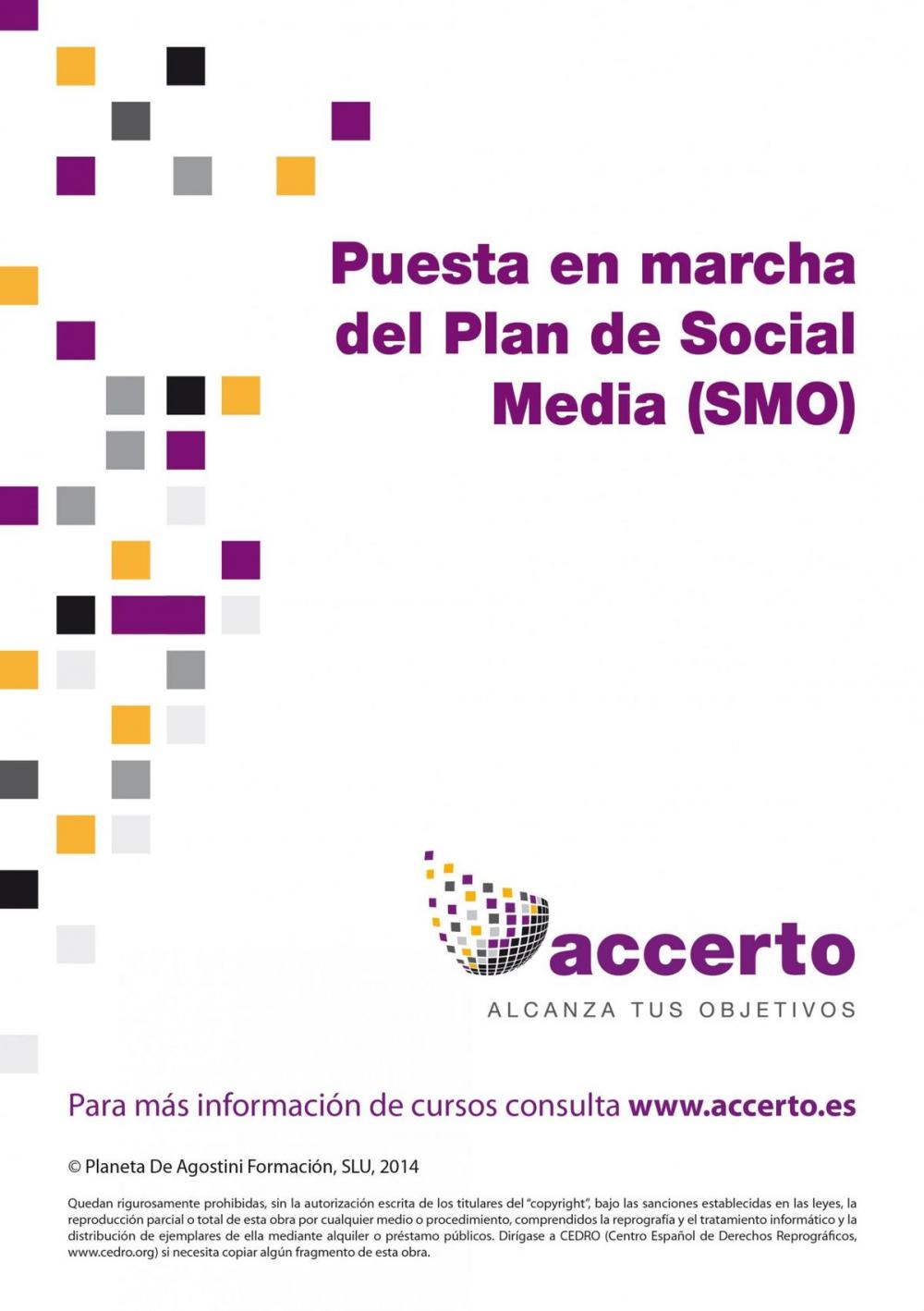 Big bigCover of Puesta en marcha del Plan de Social Media (SMO)