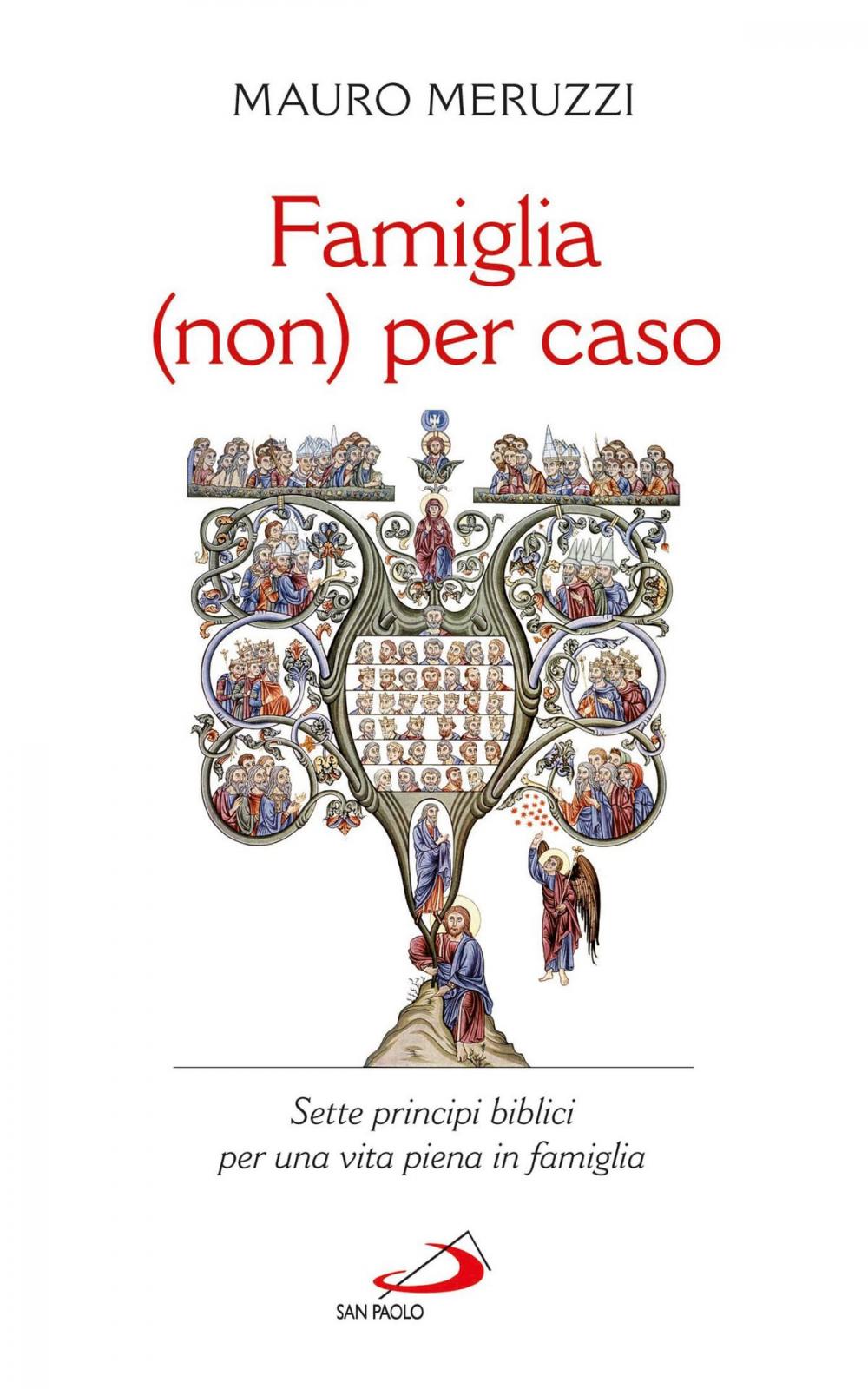 Big bigCover of Famiglia (non) per caso. Sette principi biblici per una vita piena in famiglia