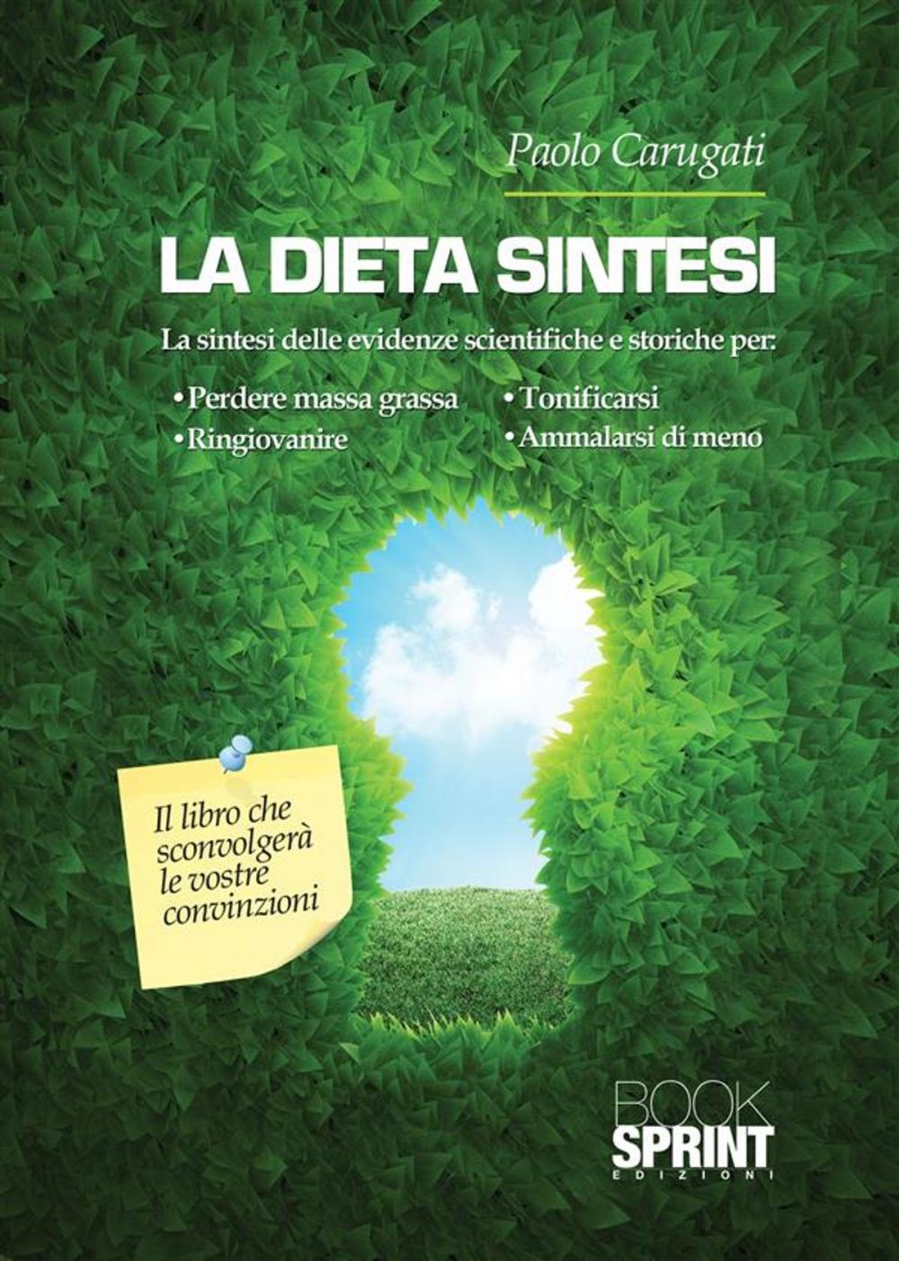 Big bigCover of La dieta sintesi