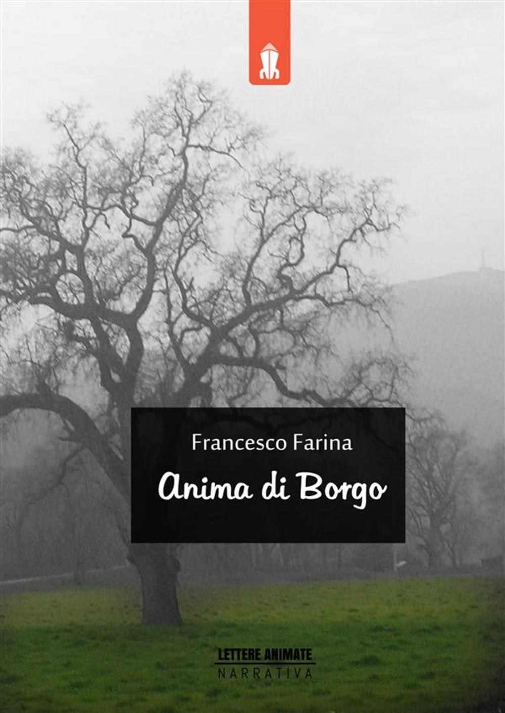 Big bigCover of Anima di Borgo