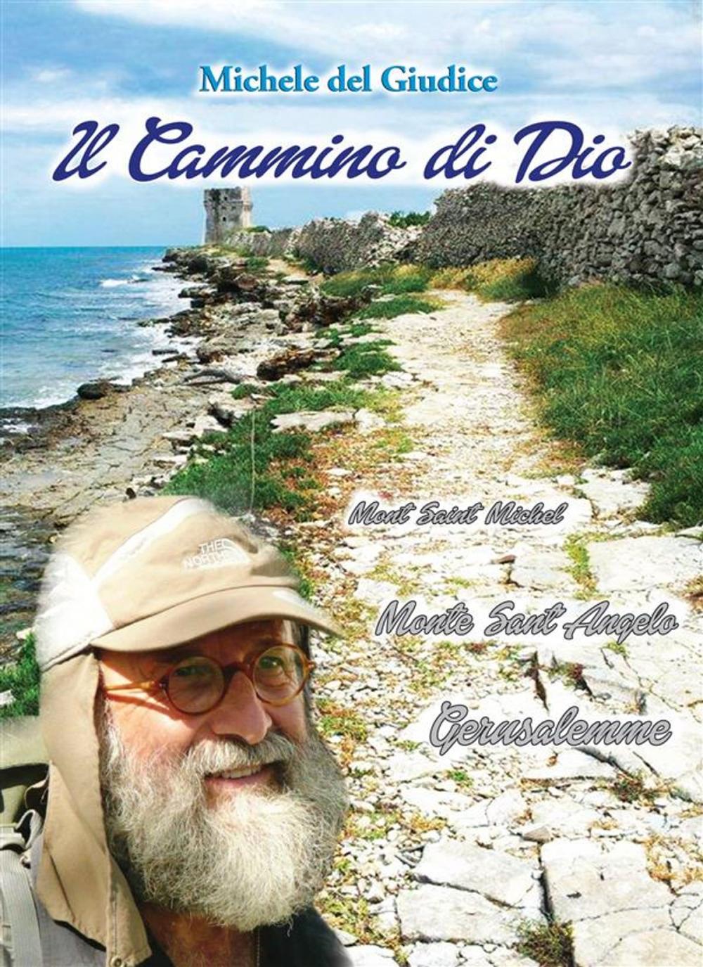 Big bigCover of Il cammino di dio