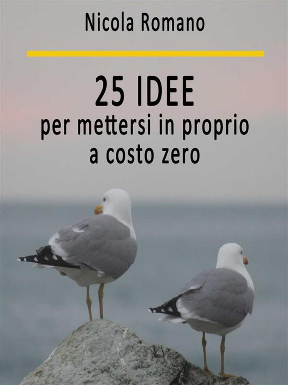 Big bigCover of 25 idee per mettersi in proprio a costo zero