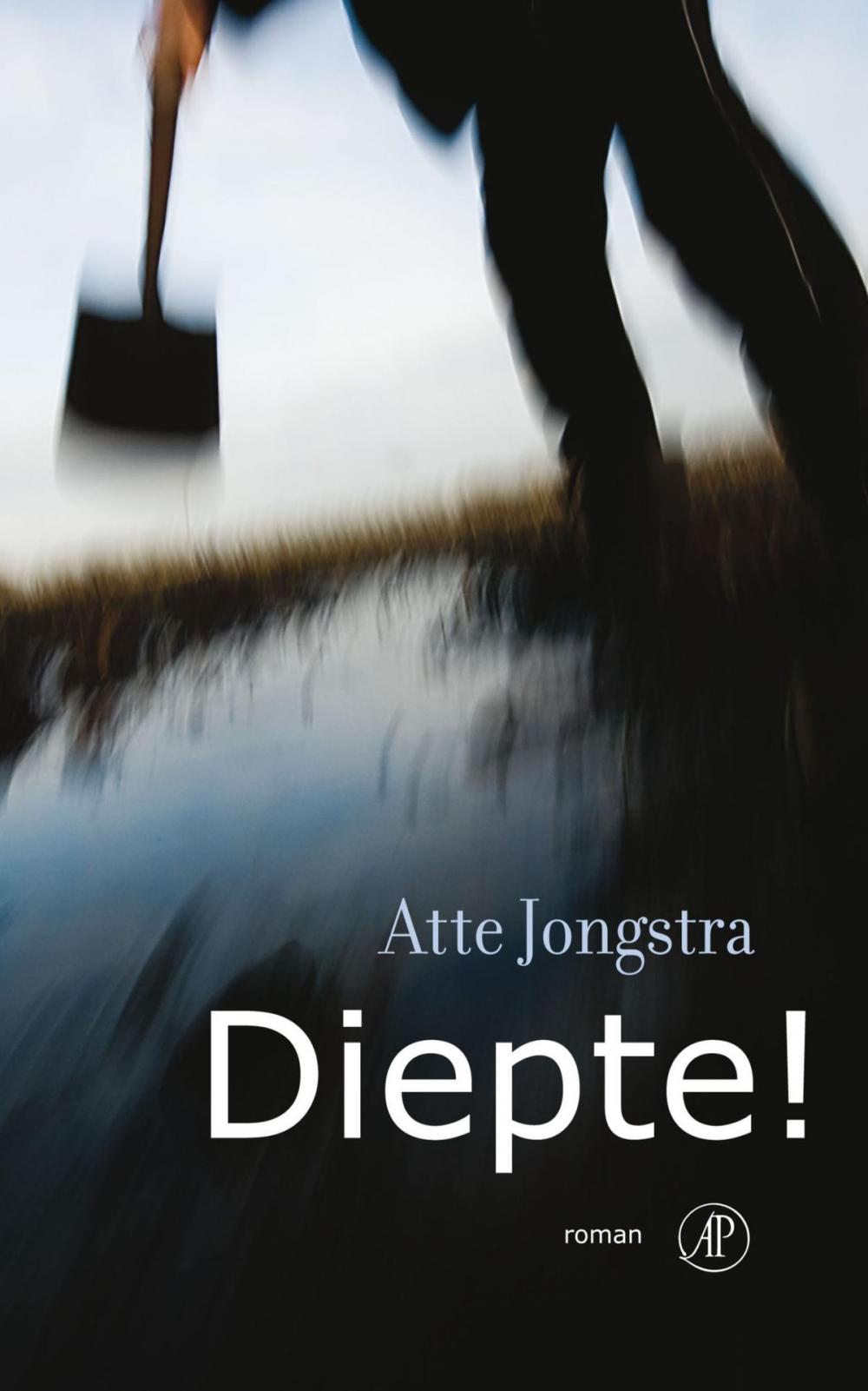 Big bigCover of Diepte!