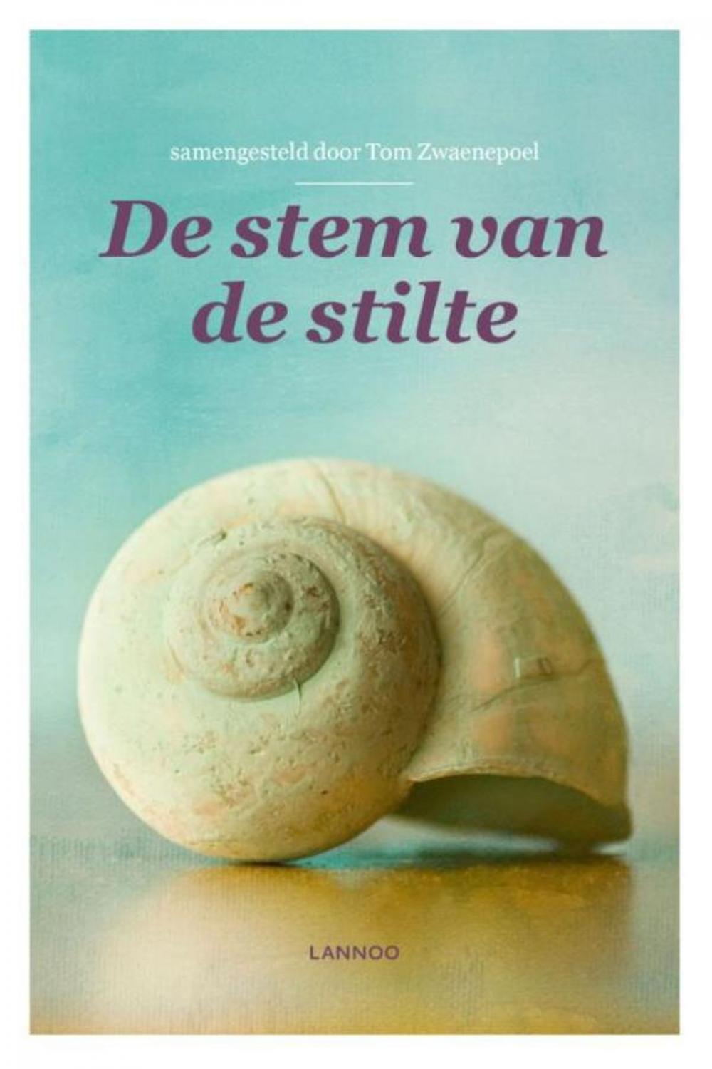 Big bigCover of De stem van de stilte