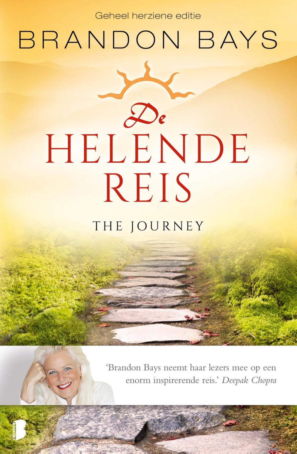 Big bigCover of De helende reis