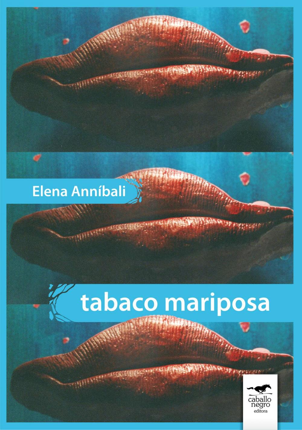 Big bigCover of Tabaco mariposa