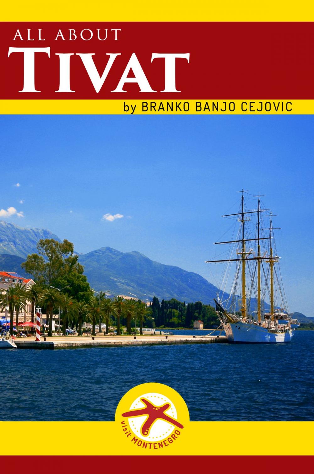 Big bigCover of All about TIVAT
