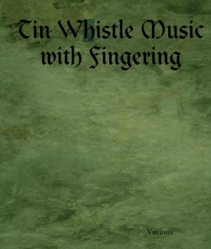 Cover of the book Tin Whistle Music with Fingering by Carol Smiles