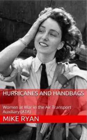 Book cover of HURRICANES AND HANDBAGS