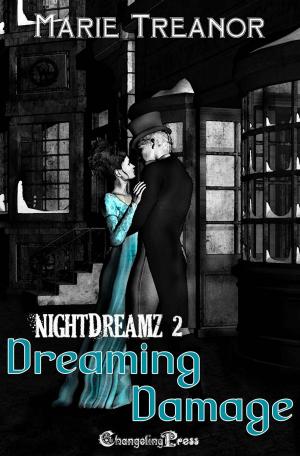 bigCover of the book Dreaming Damage (NightDreamz) by 