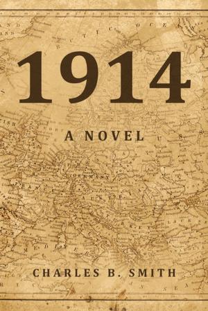 bigCover of the book 1914 by 