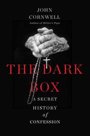 Cover of the book The Dark Box by Sandra Guzmán