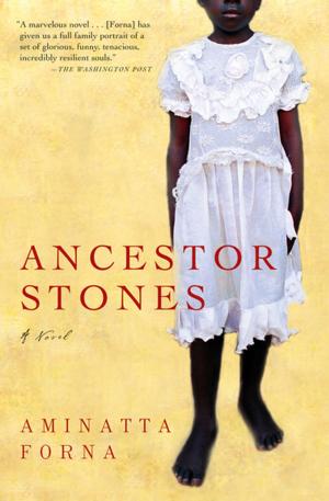 bigCover of the book Ancestor Stones by 
