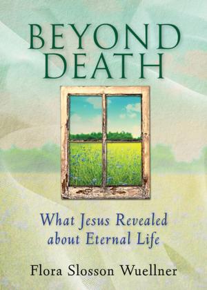 Cover of the book Beyond Death by J. Dana Trent