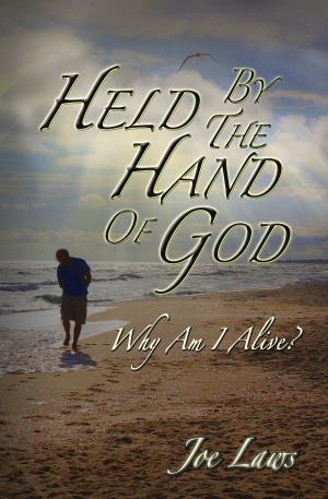 bigCover of the book Held By The Hand Of God by 