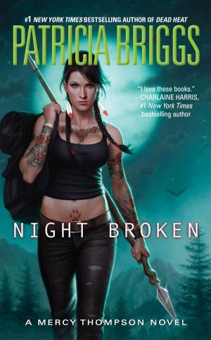 Cover of the book Night Broken by Adara Anderson